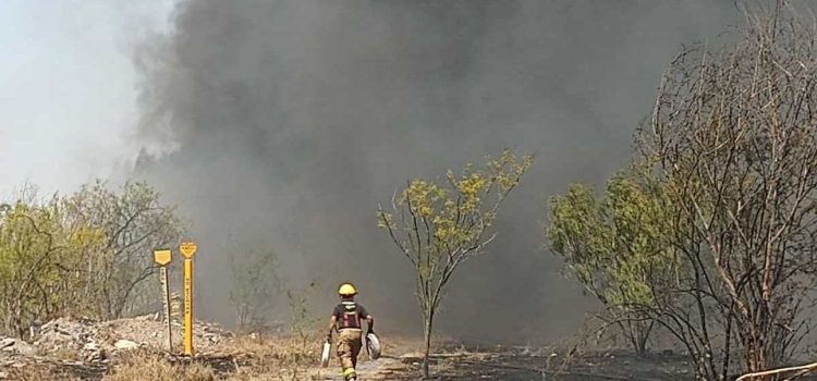 Se reportan 180 incendios en el área metropolitana de Monterrey