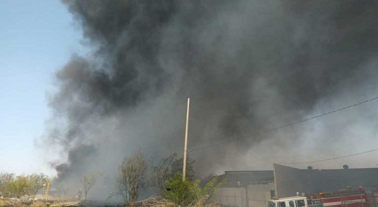 Incendio en lote baldío moviliza a autoridades en Monterrey