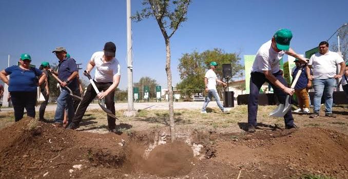 Plantarán mil árboles en Monterrey