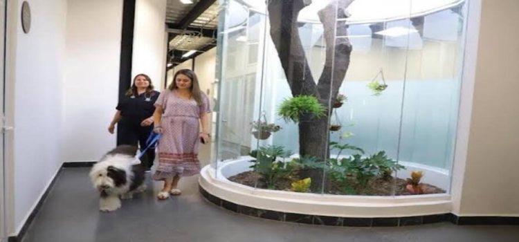 Inauguran oficinas con área para mascotas en Monterrey