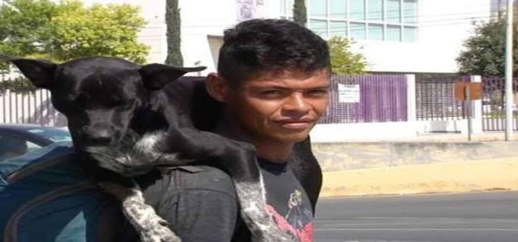 Matan al perrito de un migrante en Monterrey