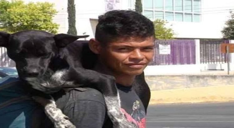 Matan al perrito de un migrante en Monterrey