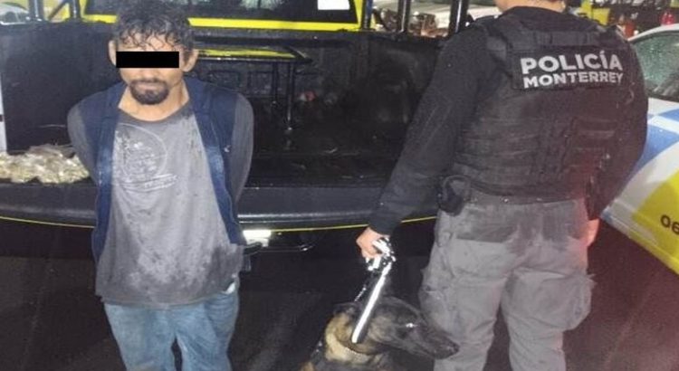 Capturan a distribuidor de droga en el Centro de Monterrey