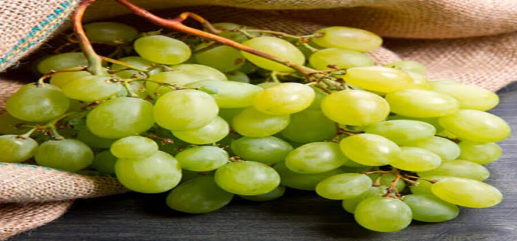 Cuánto cuesta el kilo de uva en Nuevo León