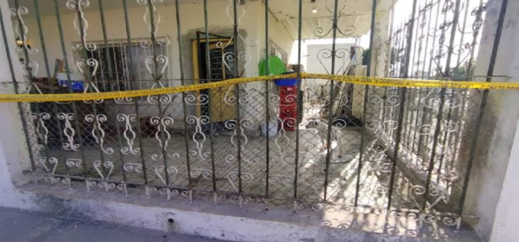 Rescatan a tres perritos tras ser abandonados en casa cateada en Monterrey