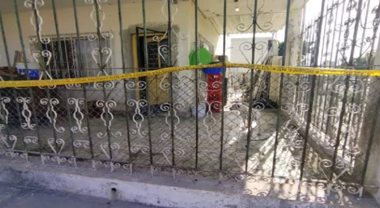 Rescatan a tres perritos tras ser abandonados en casa cateada en Monterrey