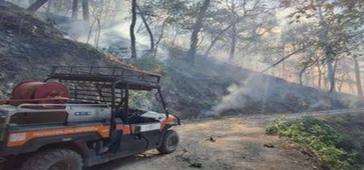 Combaten 130 elementos incendio forestal en la sierra de Iturbide, en Nuevo León