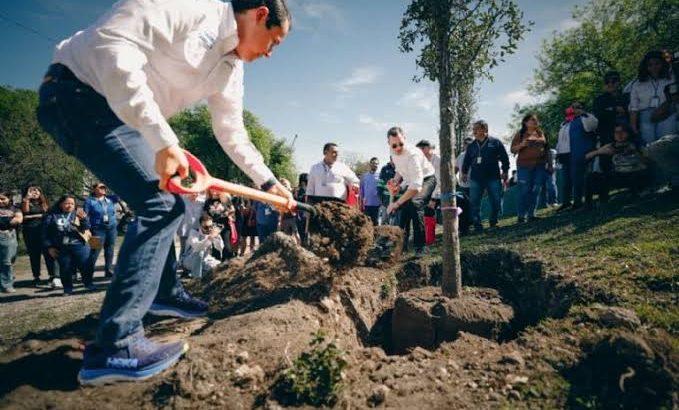 Alcaldes de Monterrey y San Nicolás plantan 50 encinos en colonia Industrias del Vidrio
