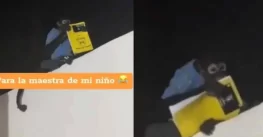 ¿Le creerá la maestra? en Culiacán un chango le robó la tarea a un niño