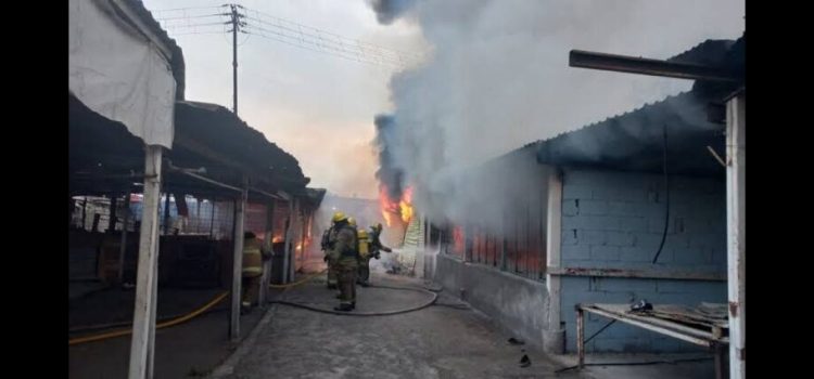 Se incendia el Mercado Campesino en Monterrey