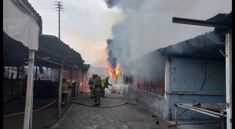 Se incendia el Mercado Campesino en Monterrey