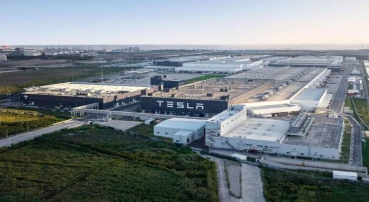 Nuevo León asegura que no han recibido informe oficial de Tesla sobre pausa en construcción de planta