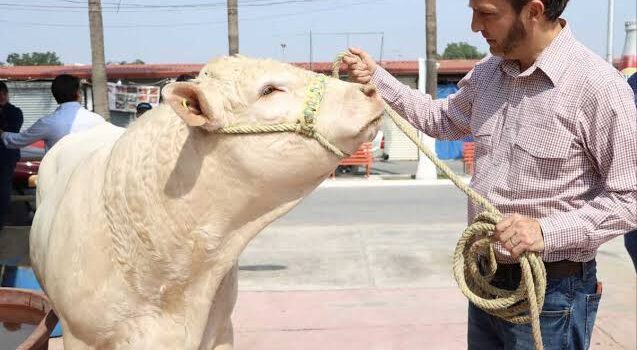 Incrementa Nuevo León apoyos a ganaderos para adquisición de sementales