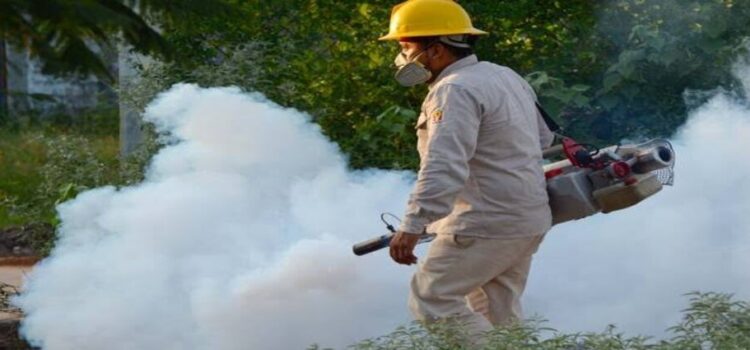 Registra Nuevo León 107 casos de dengue al día; suman 752 en la semana 35