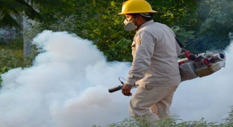 Registra Nuevo León 107 casos de dengue al día; suman 752 en la semana 35