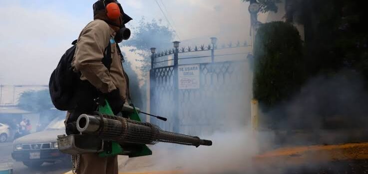 Nuevo León llega a 3 mil 598 casos de dengue en el año