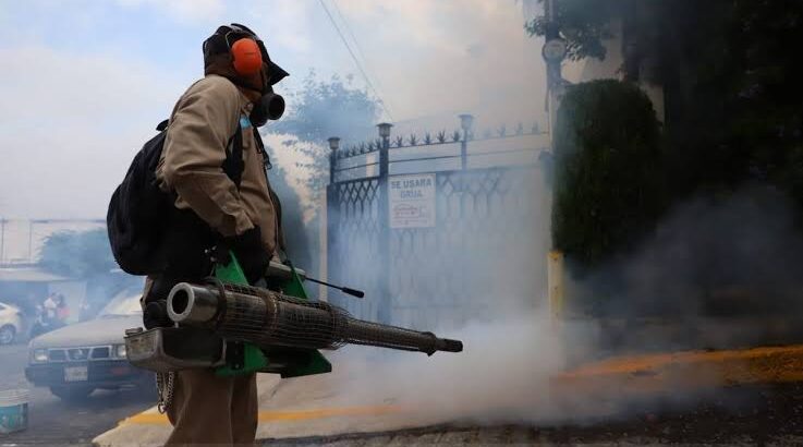 Nuevo León llega a 3 mil 598 casos de dengue en el año