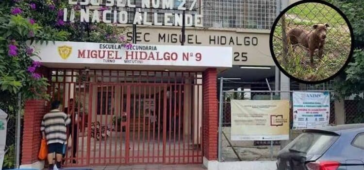 Pitbull ataca a estudiantes en secundaria de Monterrey, Nuevo León